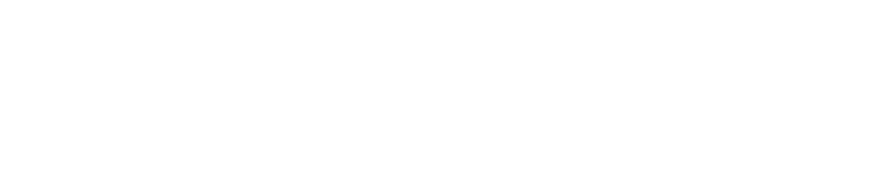 logo link flexi-step